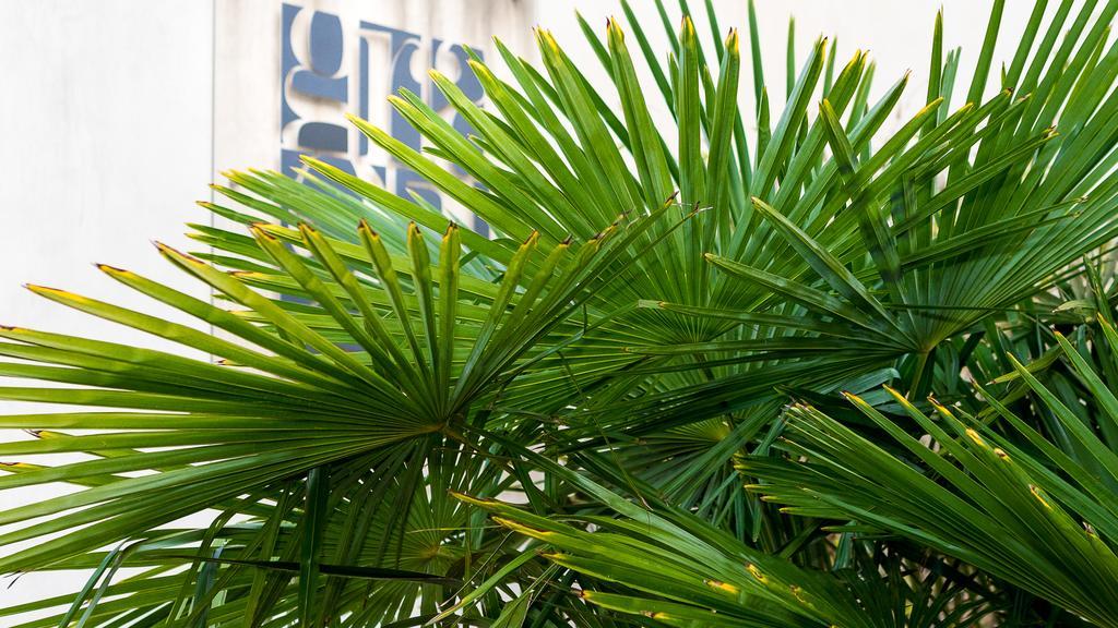 Residenza Gra 21 Aparthotel Roma